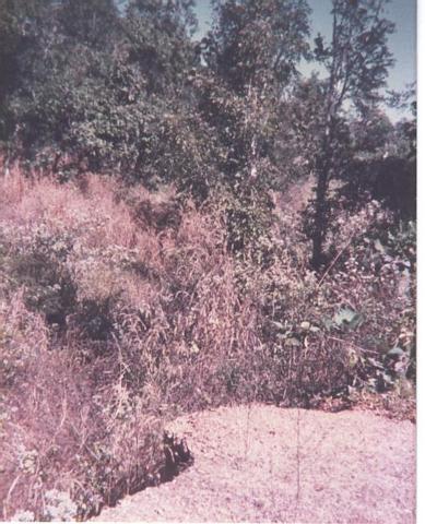 Missing culvert.jpg